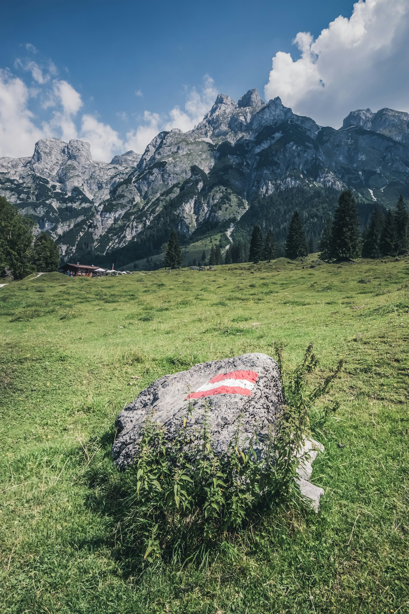 Summer meadows and limestone peaks near Werfenweng in Austria’s Salzburg region
